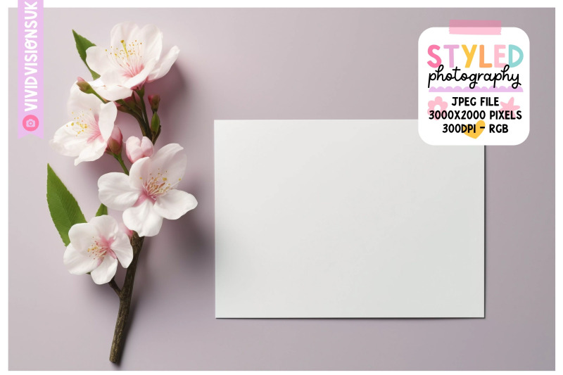 pink-themed-mockup-photography-pink-styled-stock-photography