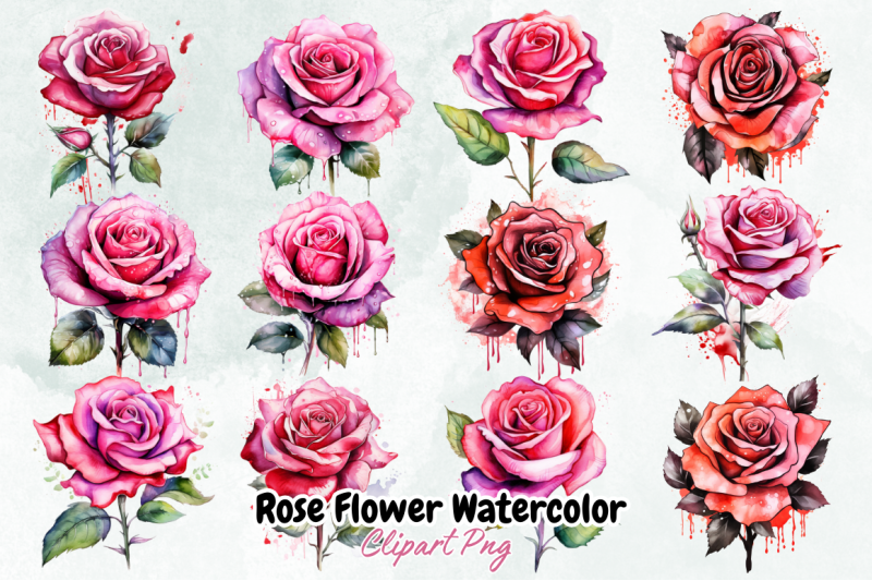 rose-flower-watercolor-arts-bundle