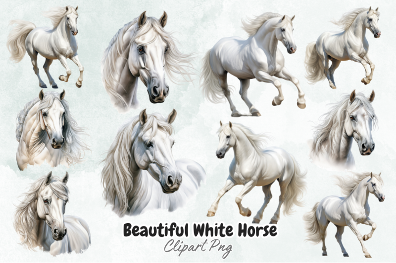 beautiful-white-horse-clipart