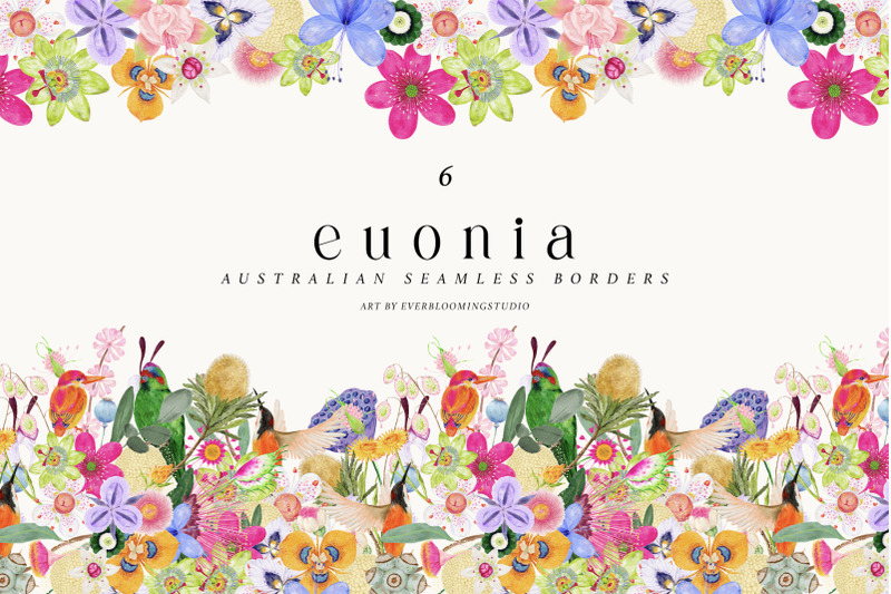 seamless-borders-australian-flora-clipart-png-wedding-invite