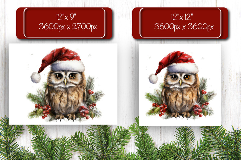 christmas-puzzle-png-owl-kids-puzzle-sublimation-watercolor