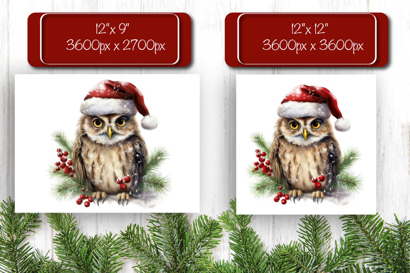 christmas-puzzle-png-owl-kids-puzzle-sublimation-watercolor-png