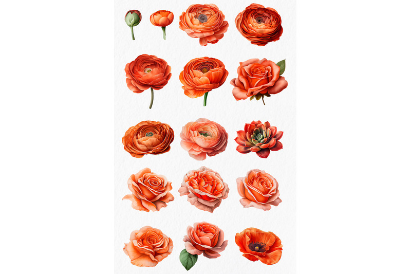 terracotta-flowers-watercolor-clipart-png