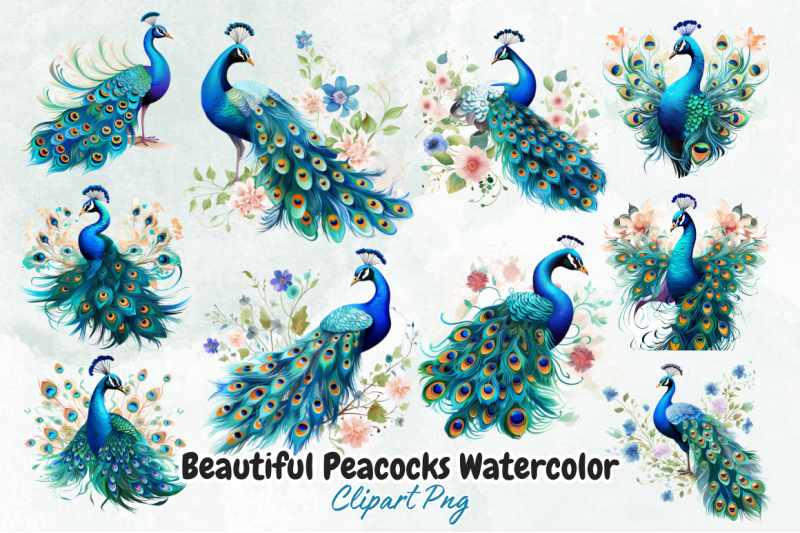 beautiful-peacocks-watercolor-clipart