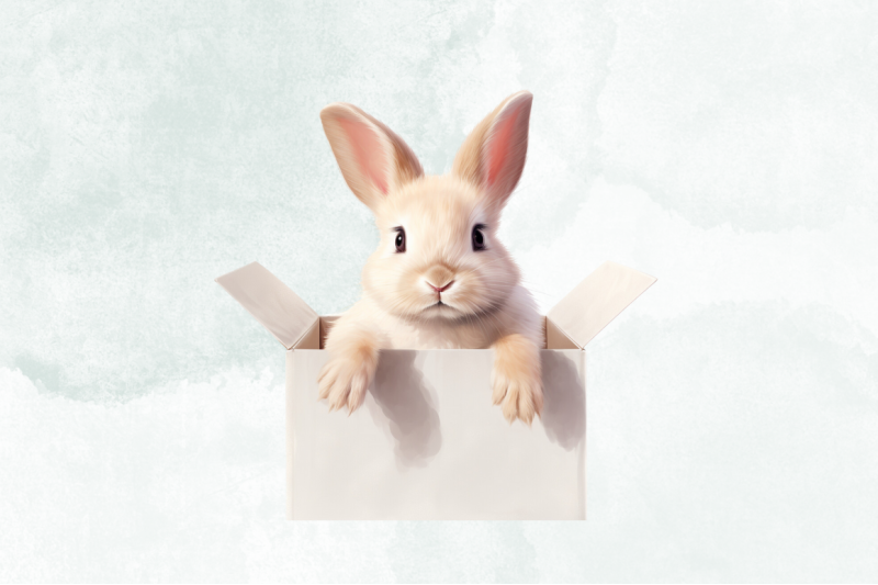 cute-rabbit-box-watercolor-clipart