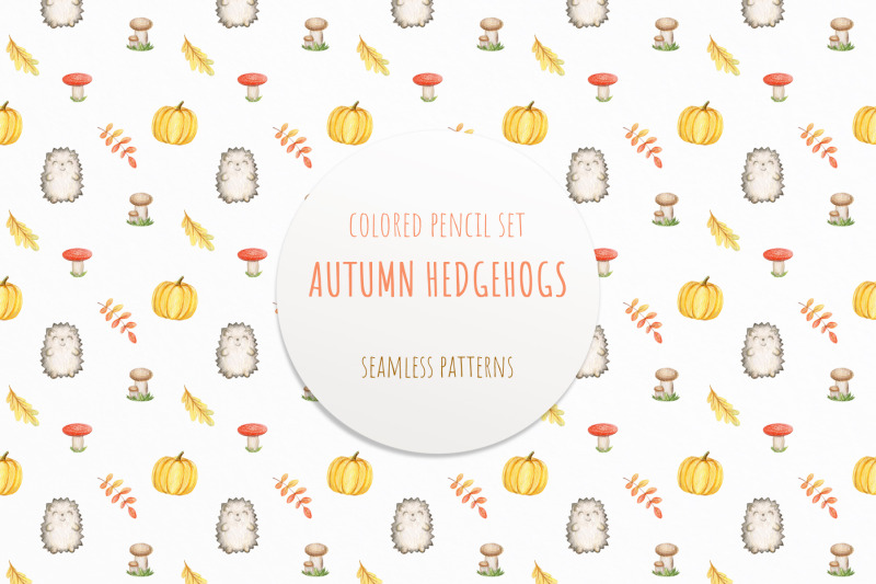autumn-hedgehogs-cute-autumn-set