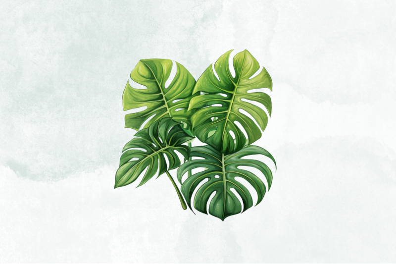 monstera-philodendron-green-leaves