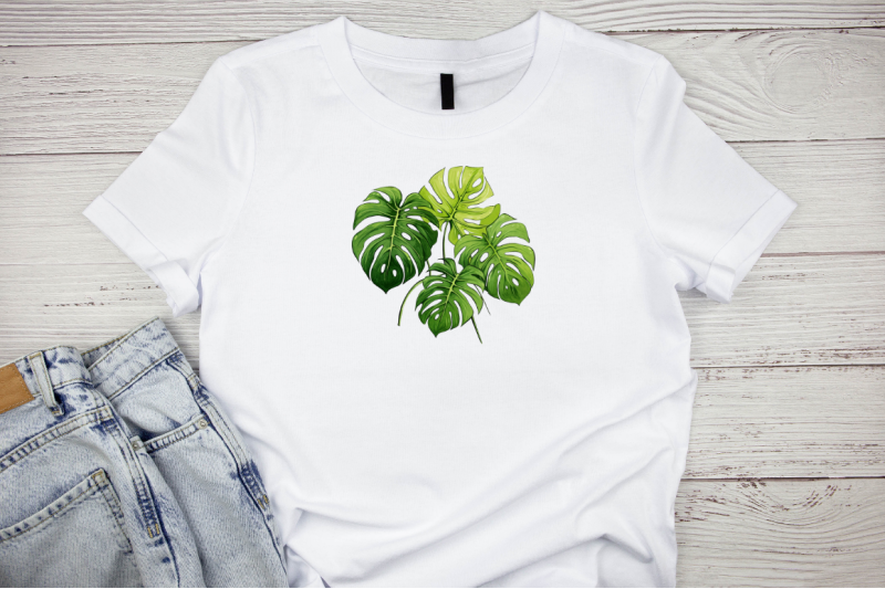 monstera-philodendron-green-leaves