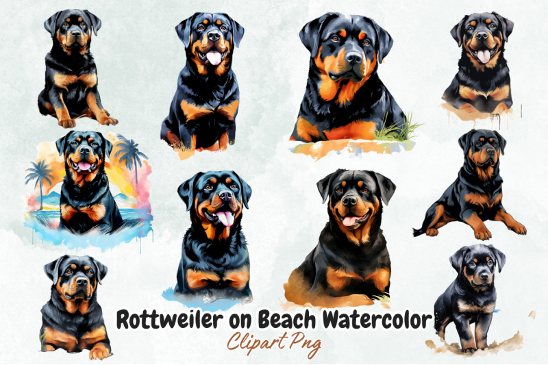 rottweiler-on-beach-watercolor-clipart