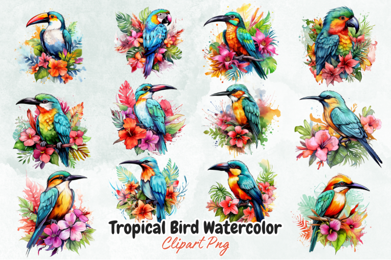 tropical-bird-watercolor-sublimation