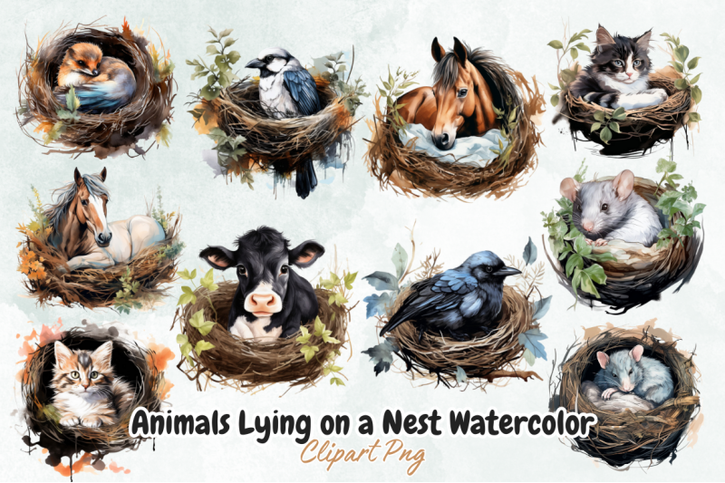 animals-lying-on-a-nest-watercolor