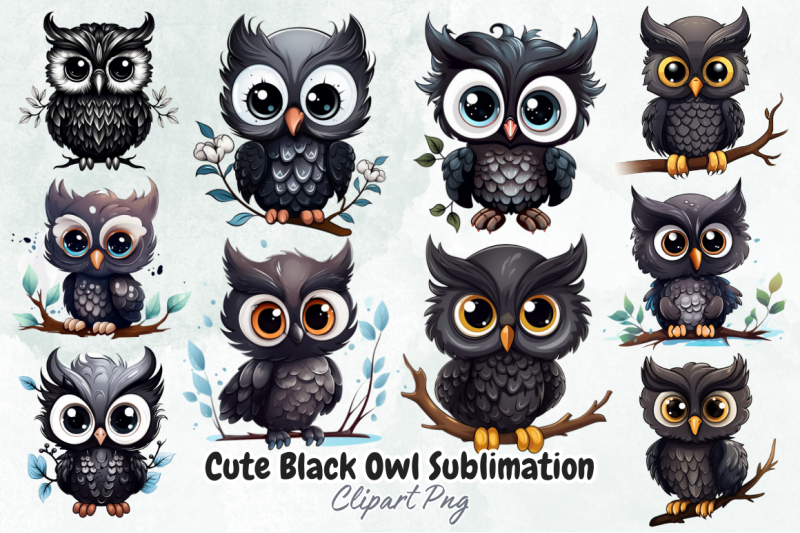 cute-black-owl-sublimation-clipart