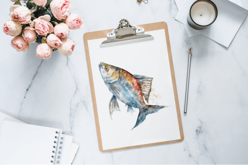 watercolor-fish-bone-clipart-bundle