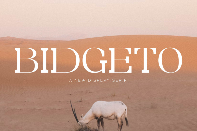 bidgeto-typeface