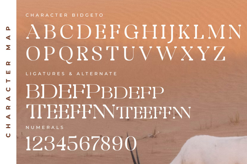 bidgeto-typeface