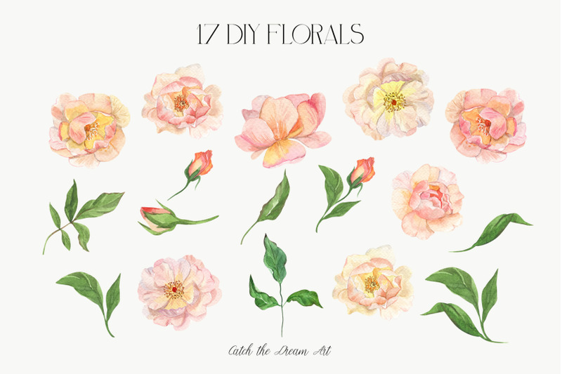 amber-sun-roses-watercolor-floral-clipart