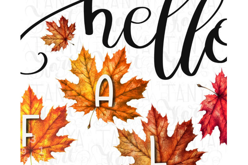 hello-fall-png-sublimation-design-digital-download