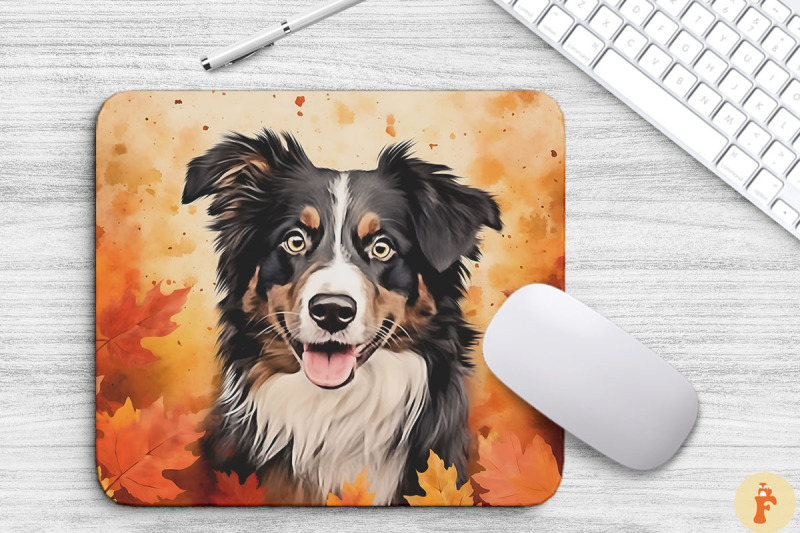 cute-australian-shepherd-and-fall-leaves