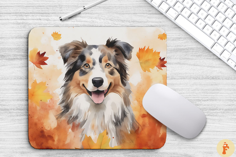 cute-australian-shepherd-and-fall-leaves