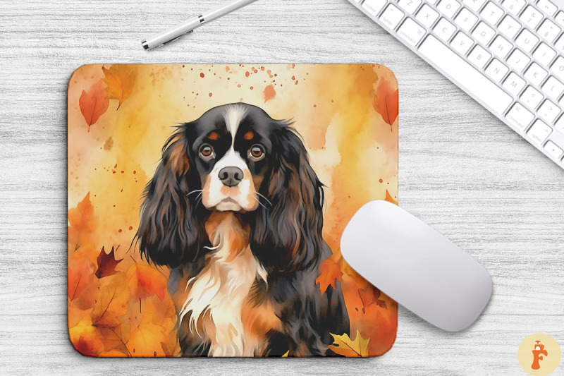 cute-king-charles-spaniel-and-fall-leave