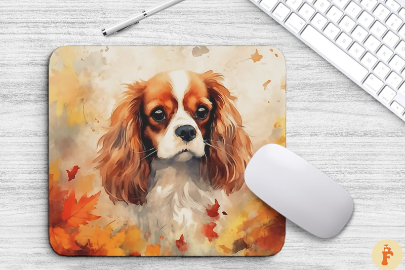 cute-king-charles-spaniel-and-fall-leave