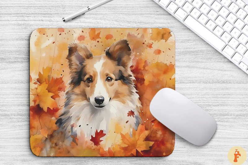 cute-shetland-sheepdog-and-fall-leaves