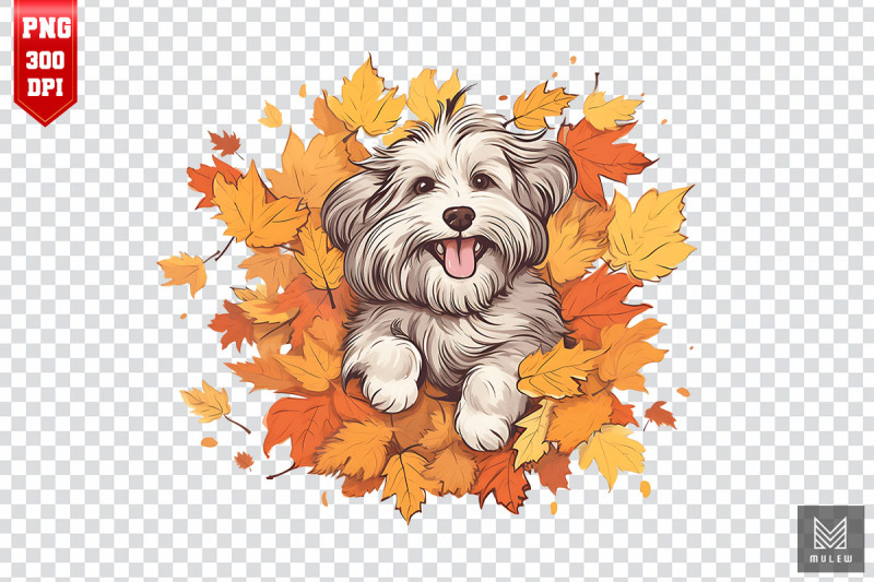 autumn-havanese-dog-clipart