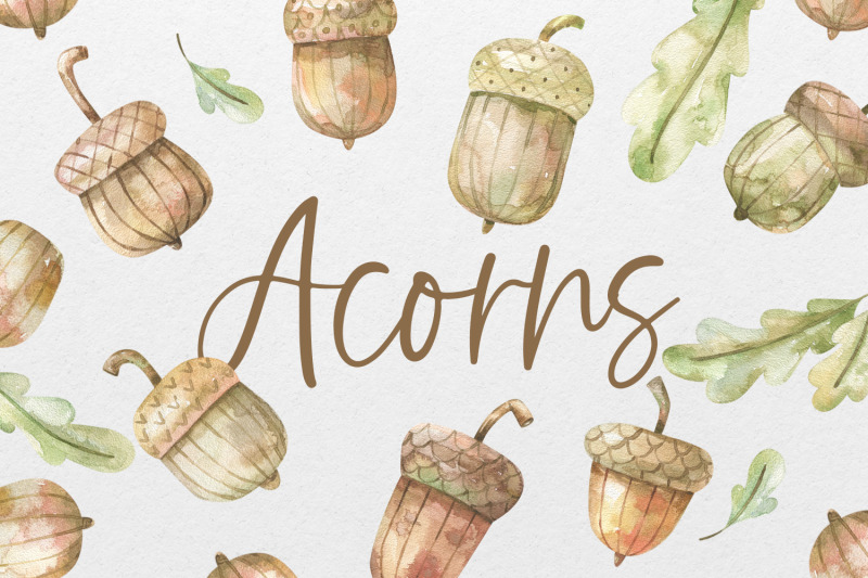 acorn-clipart-amp-patterns