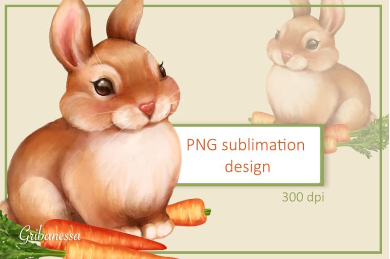 bunny-and-carrot-rabbit-png-sublimation-design