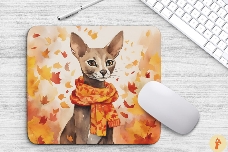 cute-oriental-shorthair-cat-in-fall