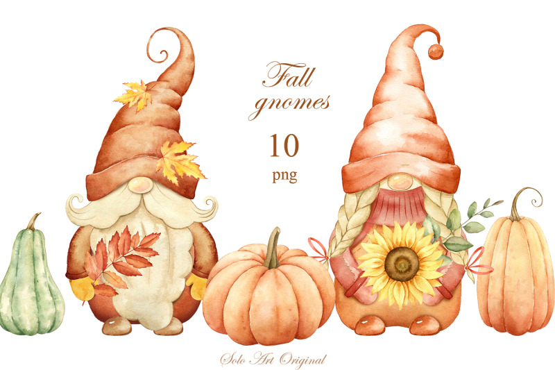 fall-gnomes-thanksgiving-day-pumpkins-sunflowers-leaves