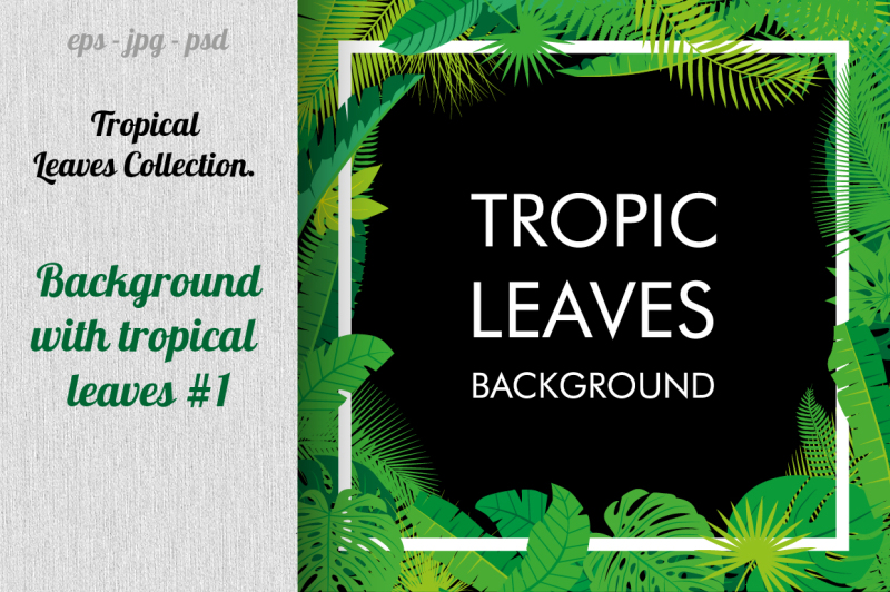 tropical-leaves-collection