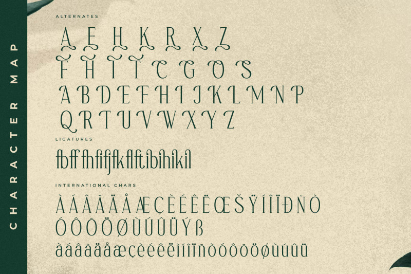 sufinter-typeface