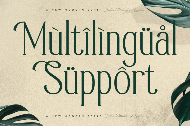 sufinter-typeface