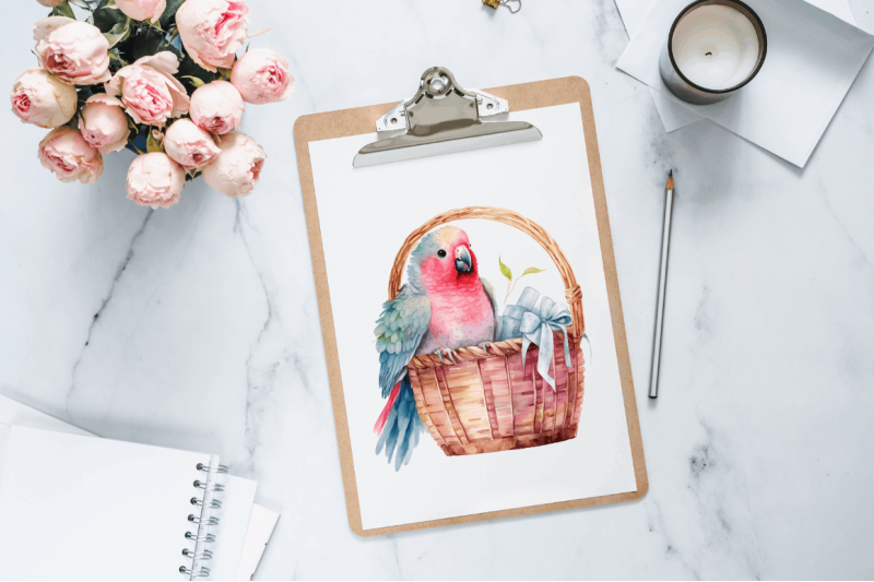 watercolor-cute-pink-parrot-in-basket-clipart-bundle