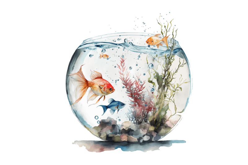 watercolor-fish-bowl-tank-clipart-bundle