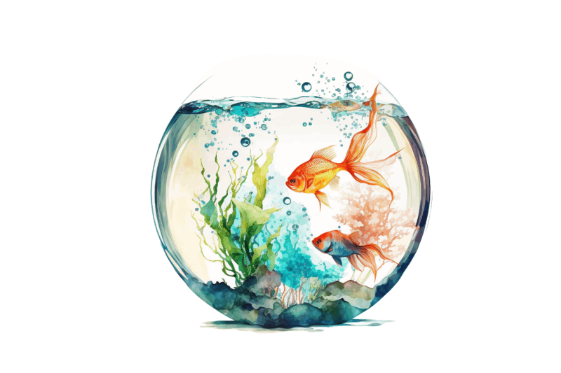 watercolor-fish-bowl-tank-clipart-bundle