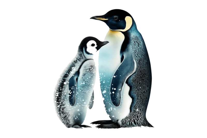 mom-and-baby-penguin-clipart-bundle