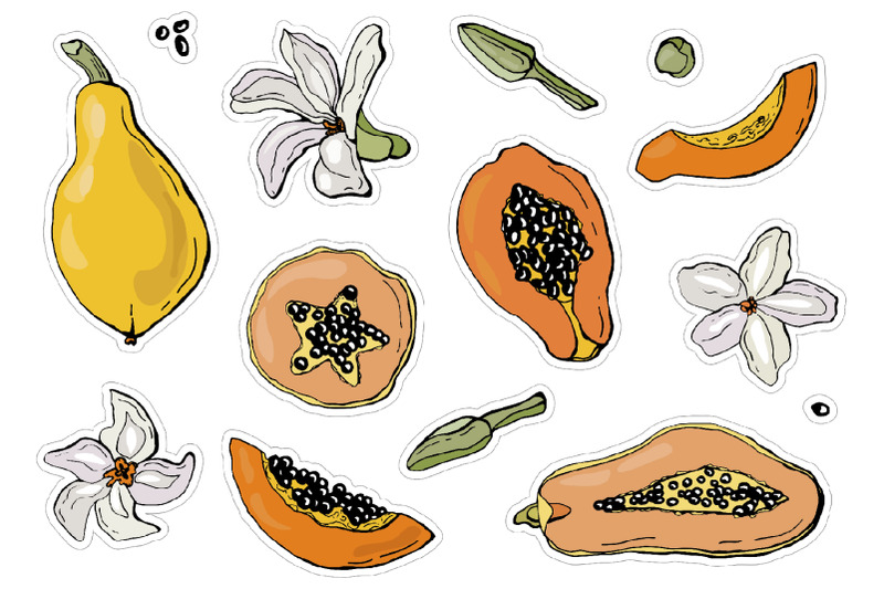 papaya-printable-stickers-cricut-design