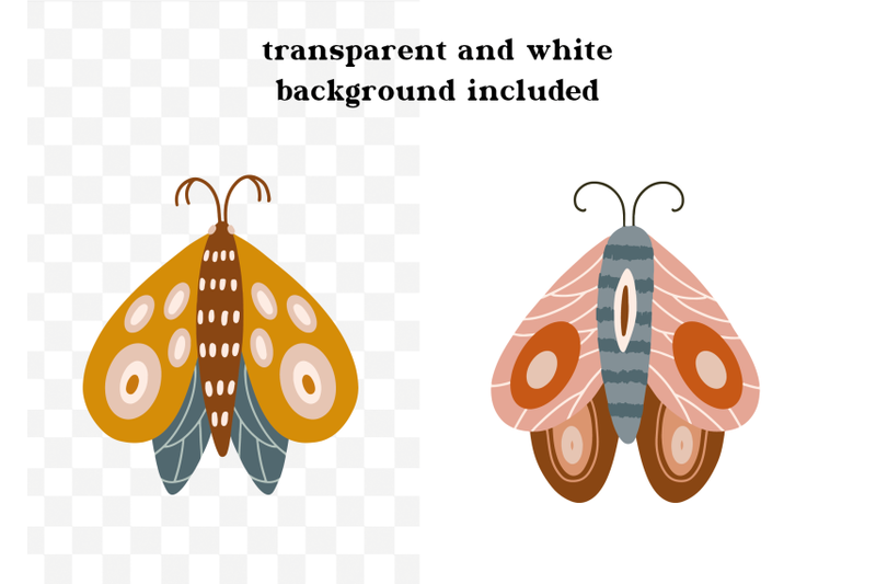colorful-moth-clip-art-modern-hand-drawn-moth-clipart-doodle-insect