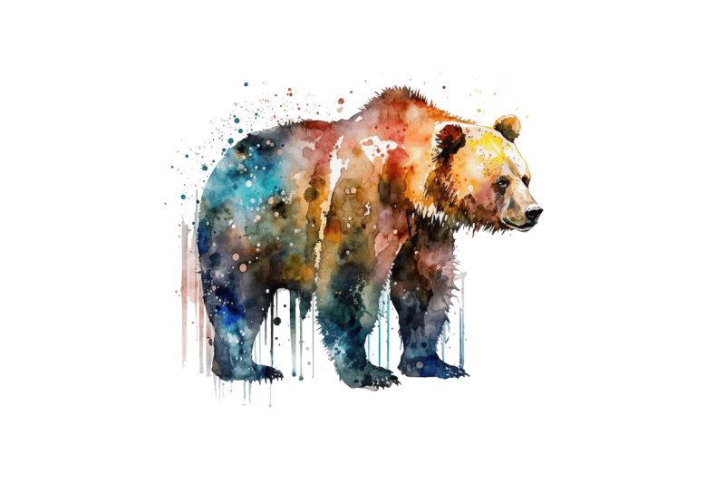 watercolor-bear-clipart-bundle