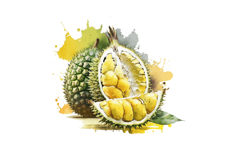 watercolor-durian-clipart-bundle