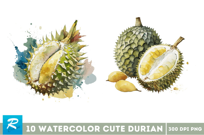 watercolor-durian-clipart-bundle