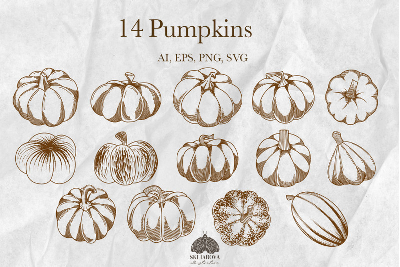 autumn-pumpkins-svg-png-eps