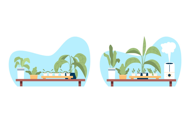 houseplants-in-room-with-dry-air-and-with-humid-air-thanks-to-humidifi