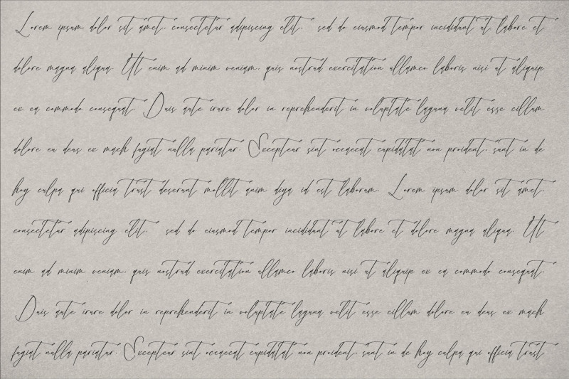 velodicals-holysmith-luxury-script-font