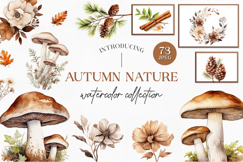 autumn-nature