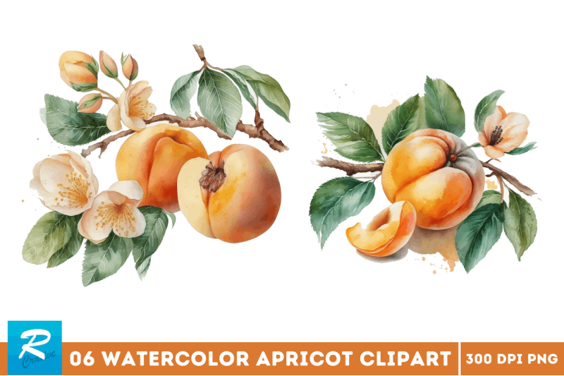 watercolor-apricot-clipart-bundle