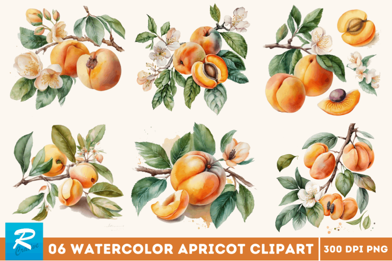 watercolor-apricot-clipart-bundle