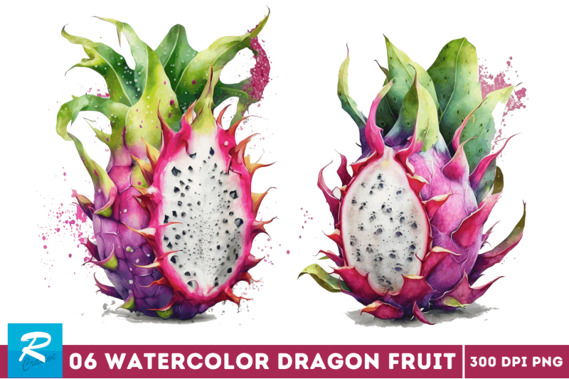 watercolor-dragon-fruit-clipart-bundle